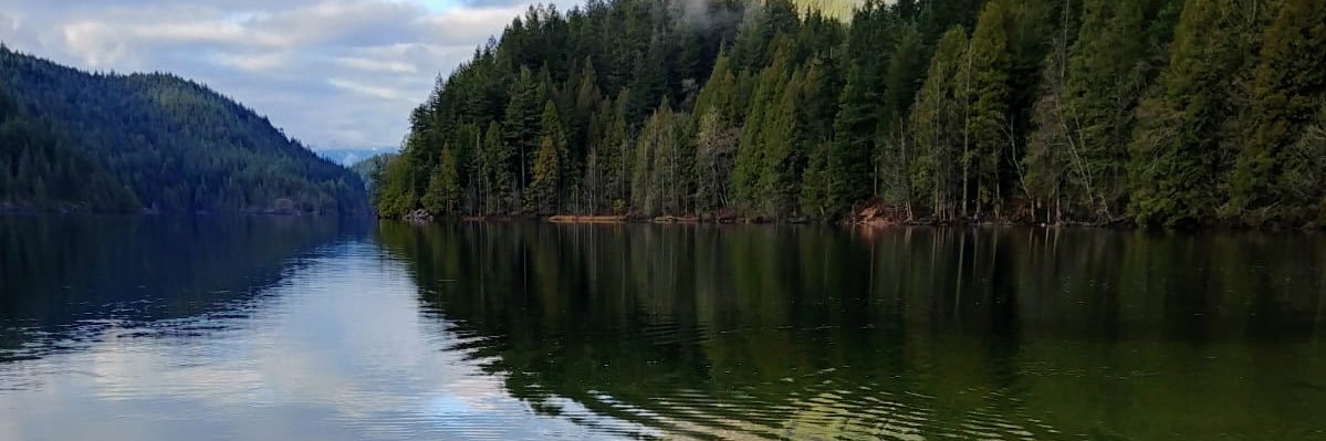 vickybull_ca's profile banner image