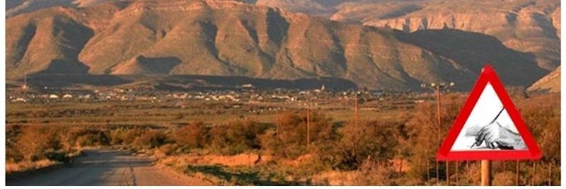 Daniel Dercksen banner