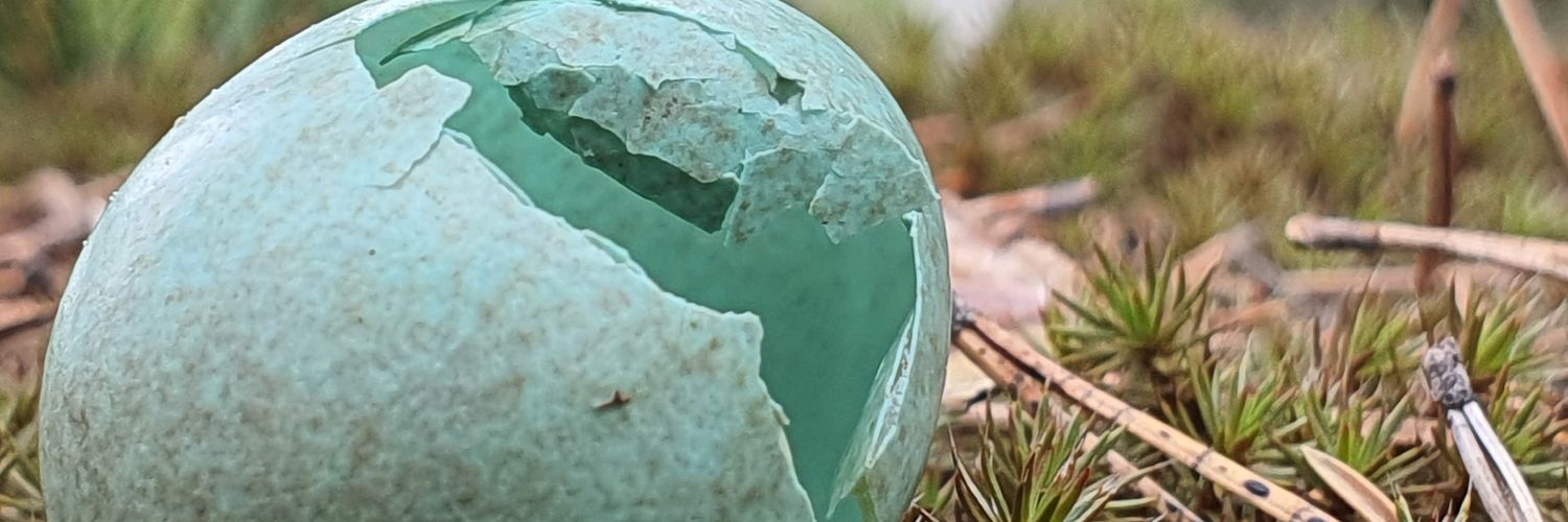 EGindex's profile banner image