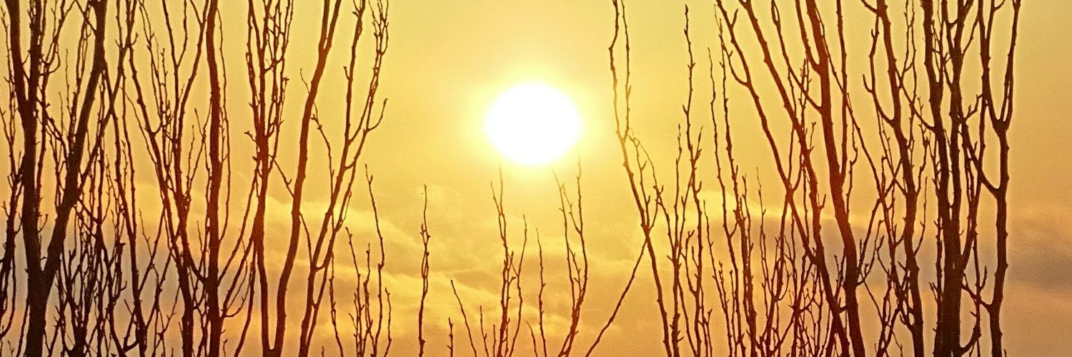 diavits's profile banner image