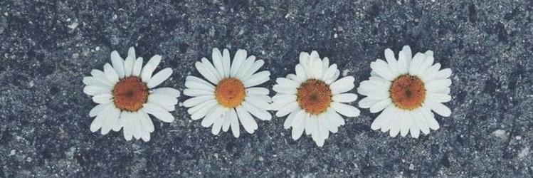 antonellastrr's profile banner image