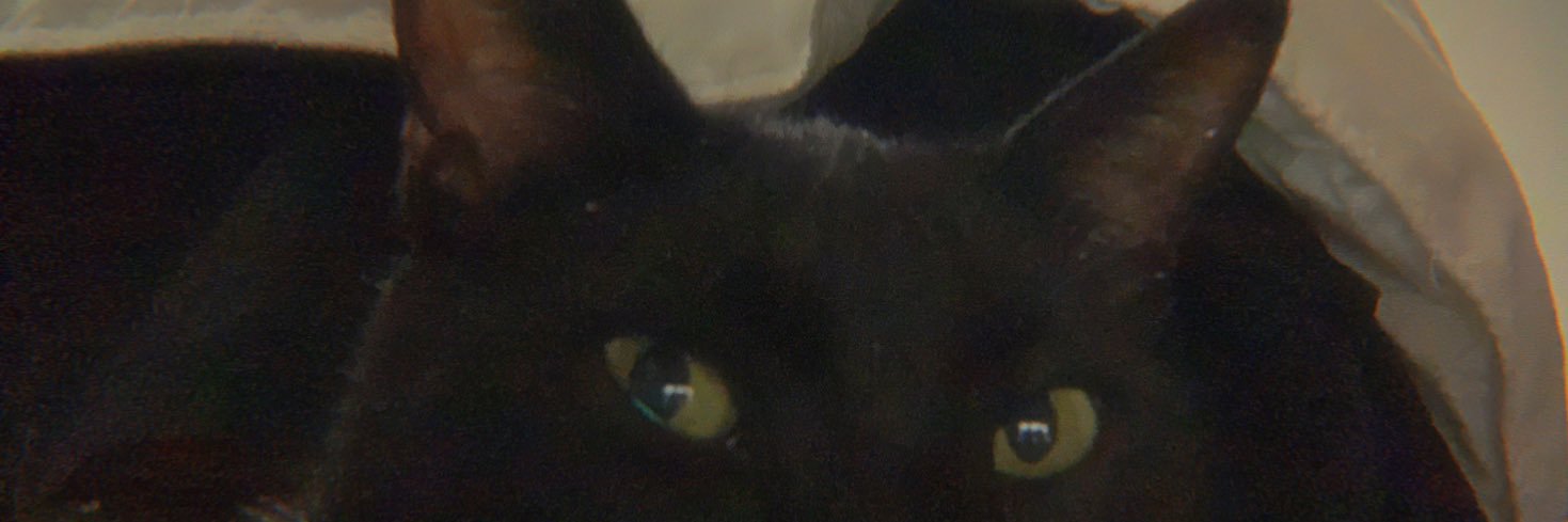 KenyaRobledo's profile banner image