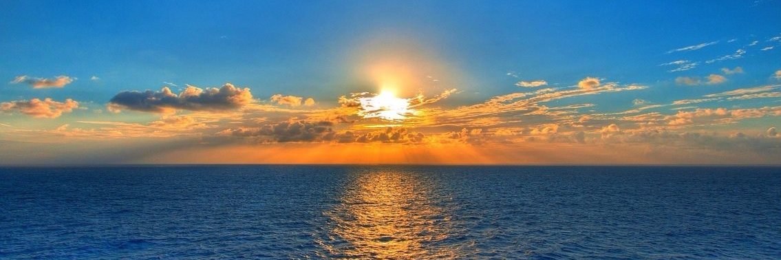 Senator Dan Hall (Ret.) banner