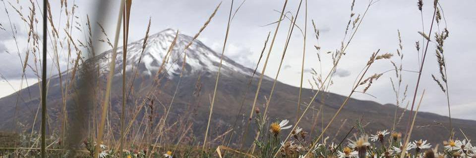 amaru_muru's profile banner image