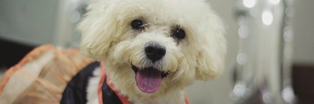 JEMigod's profile banner image