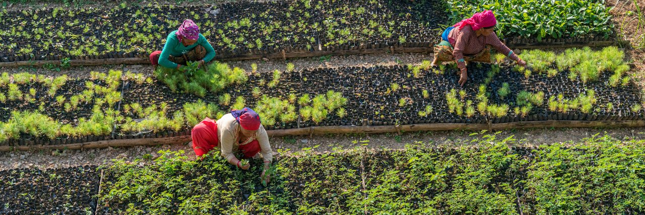 Eden: People+Planet banner