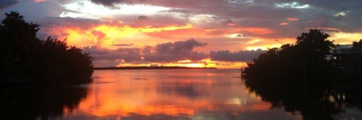 SusanAshmore's profile banner image