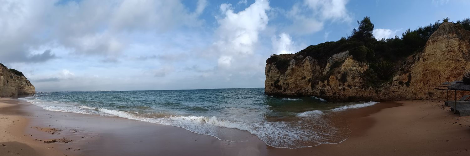 Gina Naughton banner