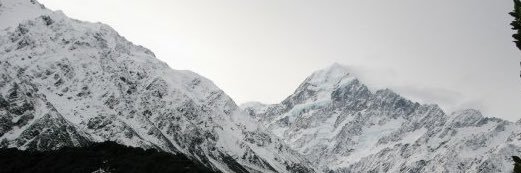 coach_fox's profile banner image