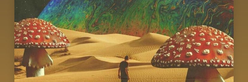 pleasantvibes's profile banner image