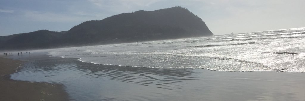 Zagsox's profile banner image