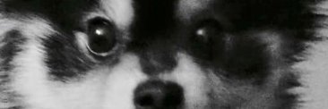 Mariana825's profile banner image