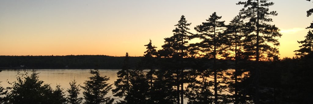 aboissevain's profile banner image