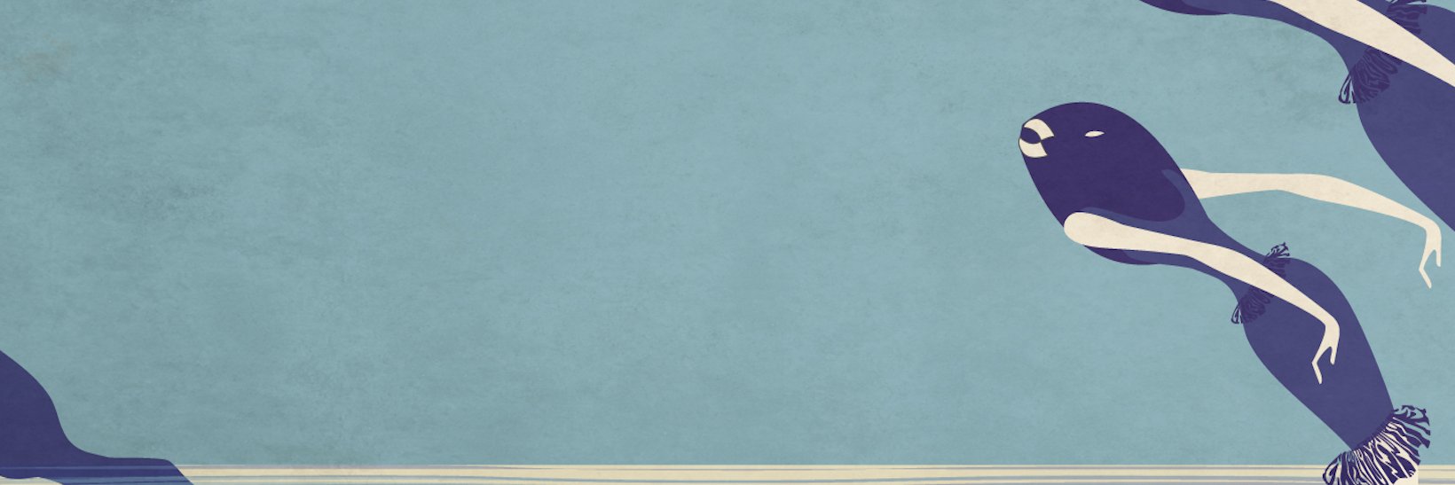 LucaMarra's profile banner image