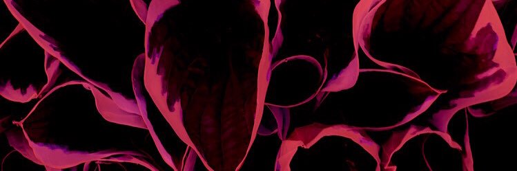 jordanndill's profile banner image