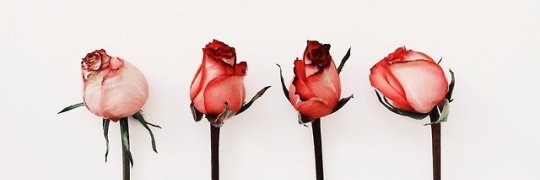 Maariaaanaa's profile banner image