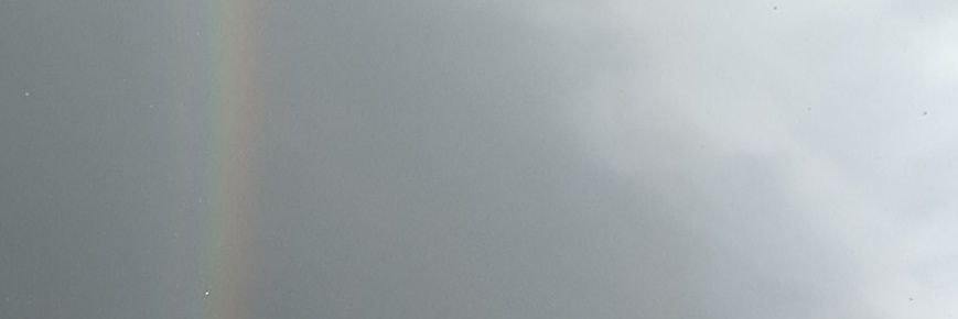 ballooh's profile banner image