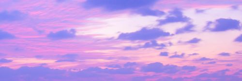 zarashannon's profile banner image