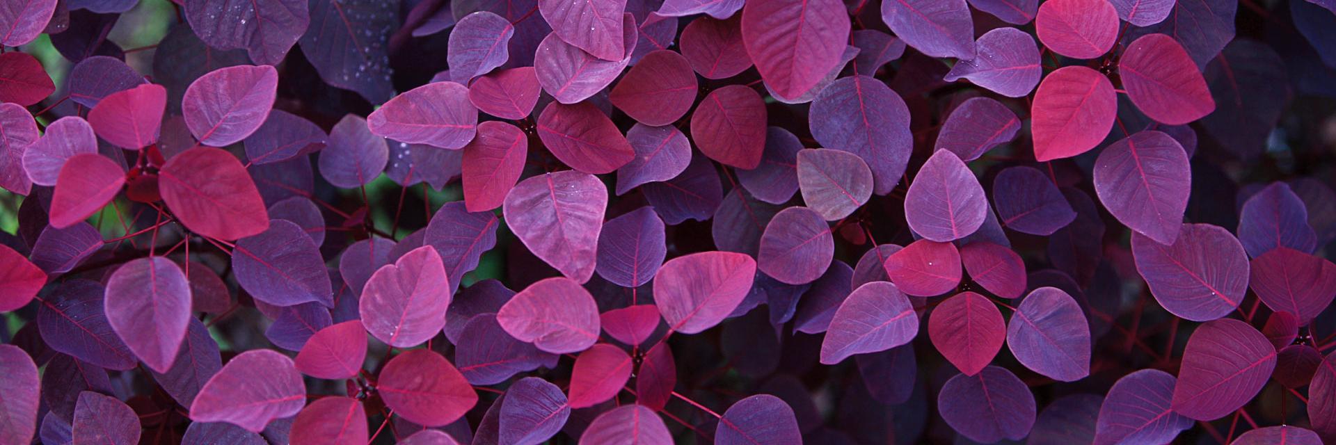 danielalf89's profile banner image