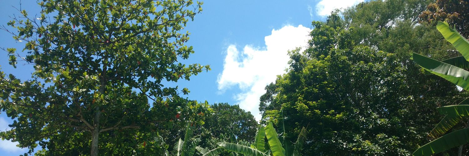 _danfs's profile banner image