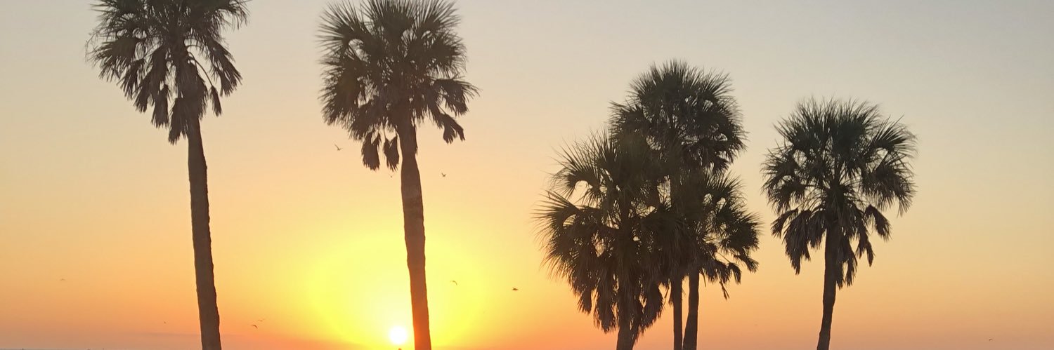 cassiereiley's profile banner image