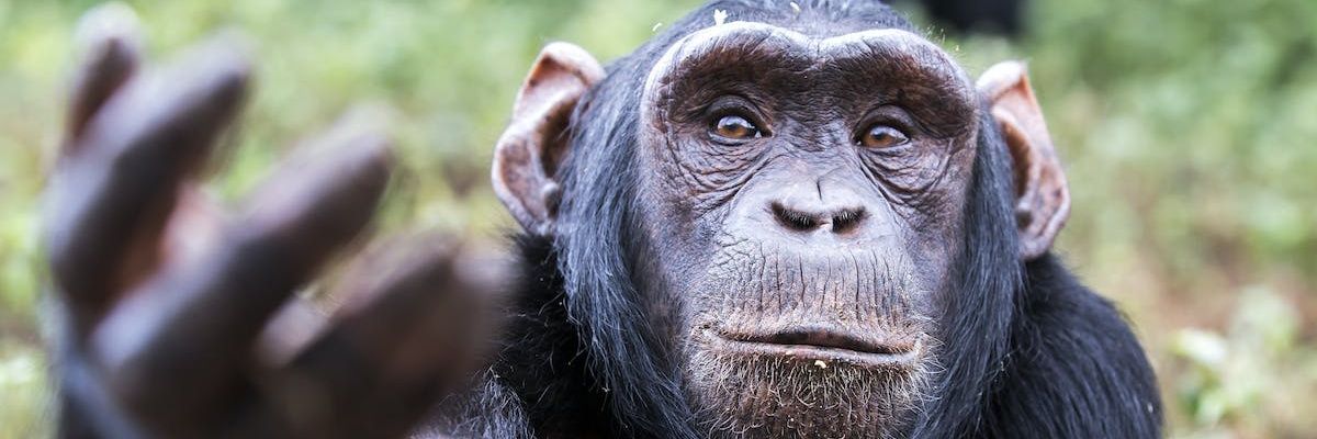keprabonenjoyer's profile banner image