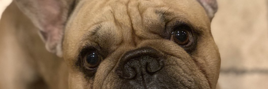 DaaMeyyerr's profile banner image