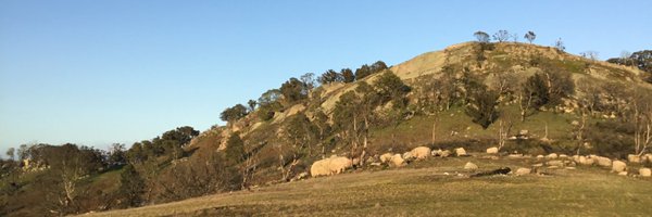 MerricB Profile Banner