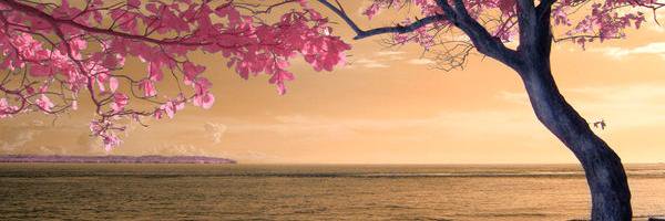 lelete68's profile banner image