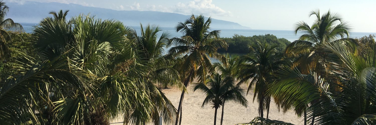 Javier Paulino banner