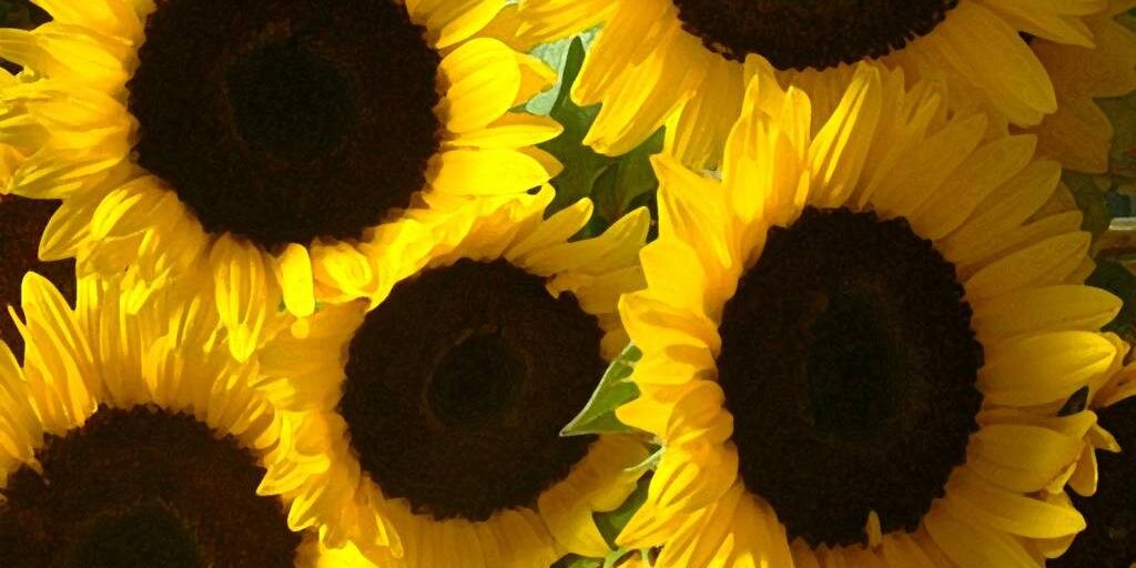 coryzone's profile banner image