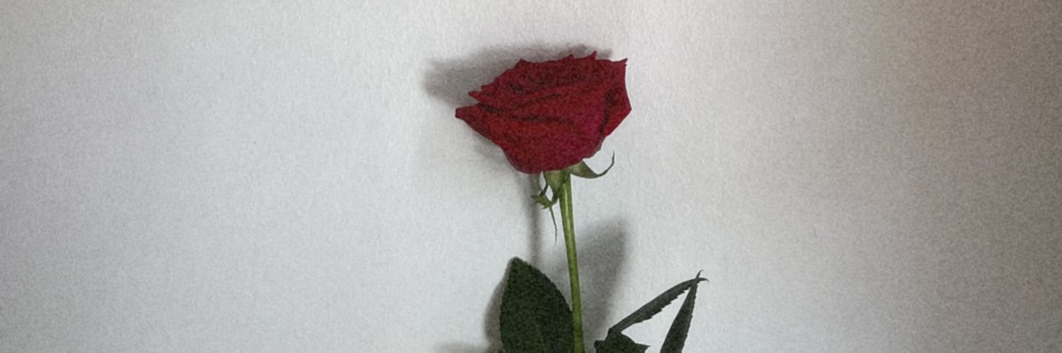 conicena_'s profile banner image