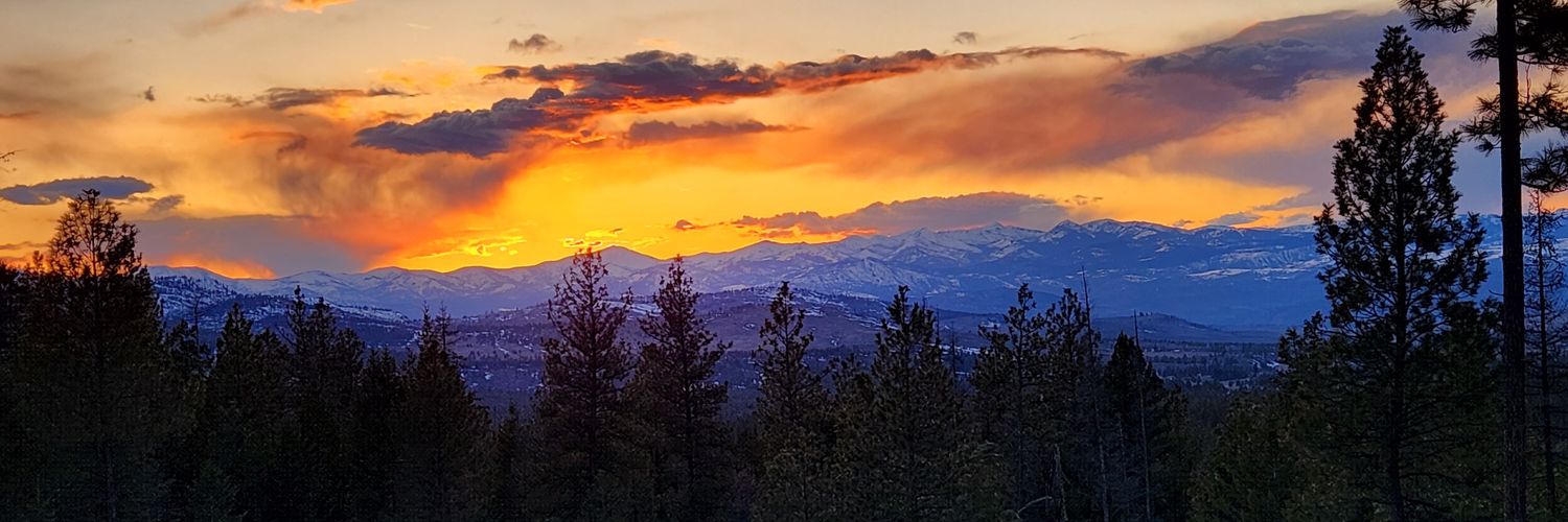 bdeseattle's profile banner image