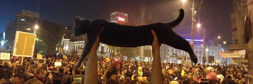 pabloalarconl's profile banner image