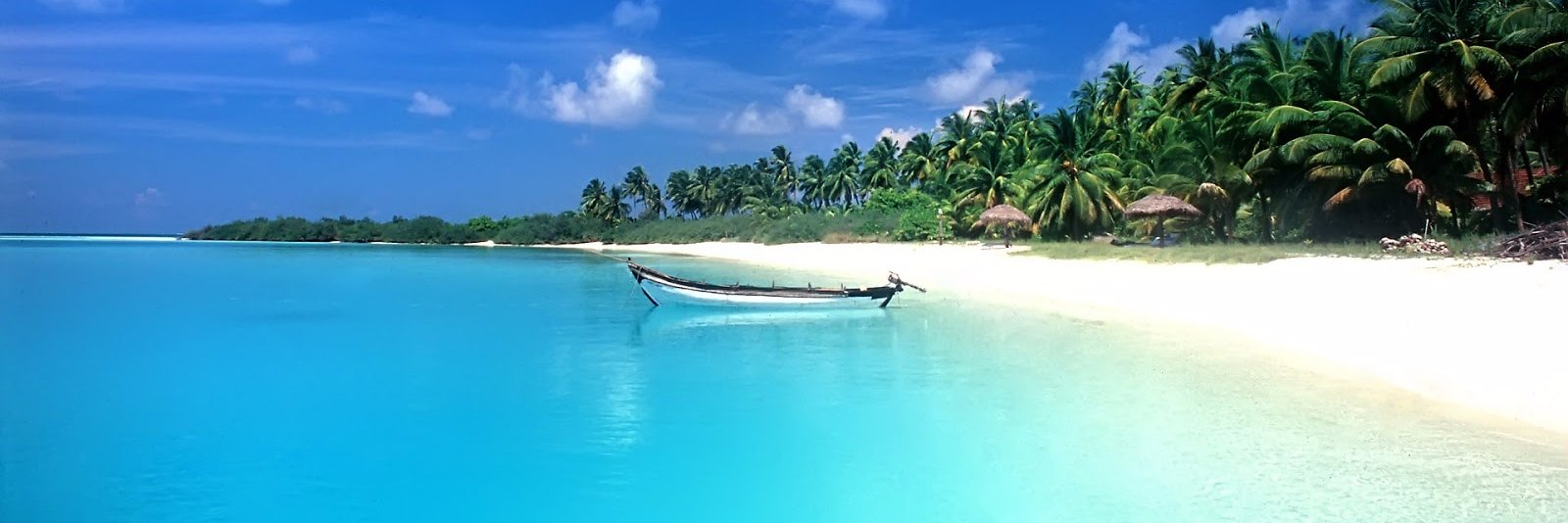 SammiBan's profile banner image