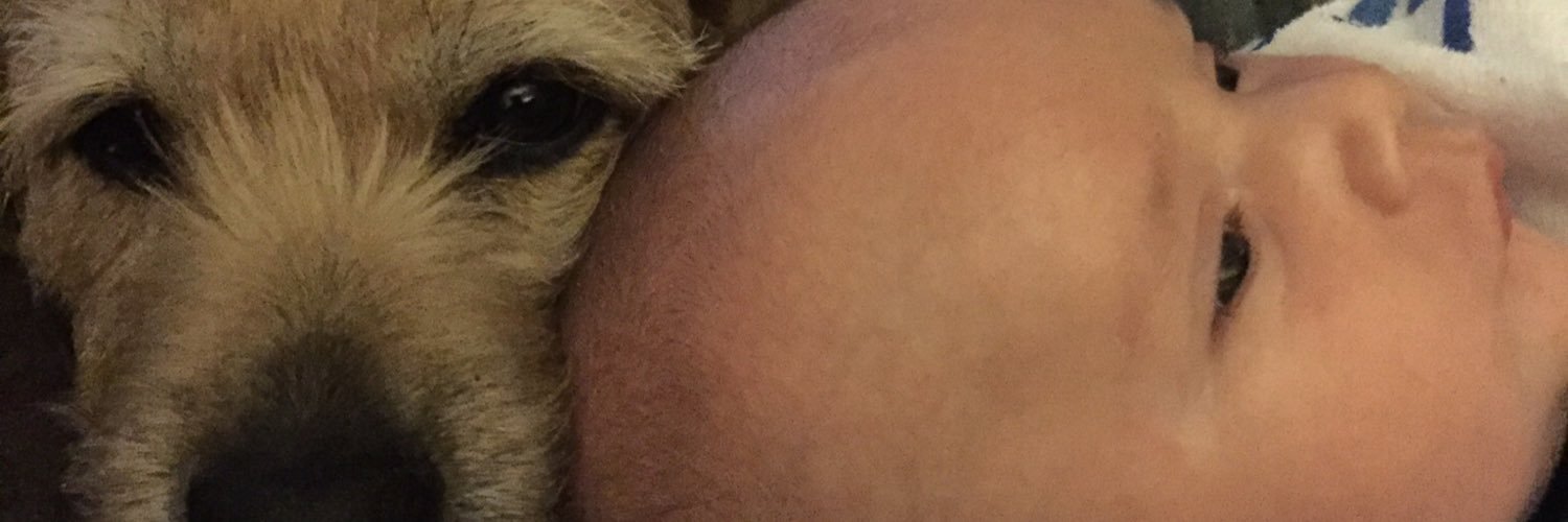 FreakzillaMRV's profile banner image