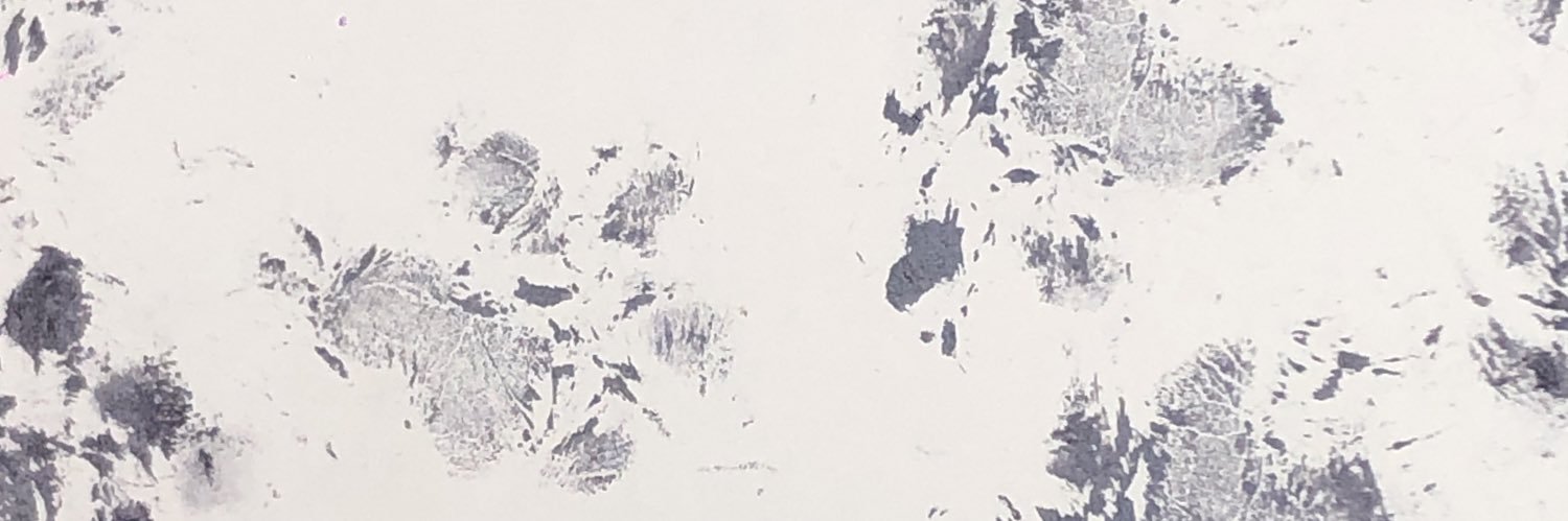 breenn3's profile banner image