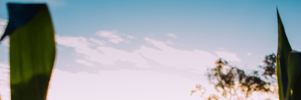 LovableWords's profile banner image