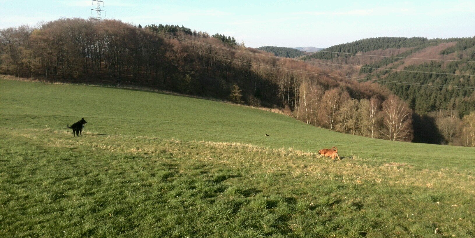 Herscheid's profile banner image