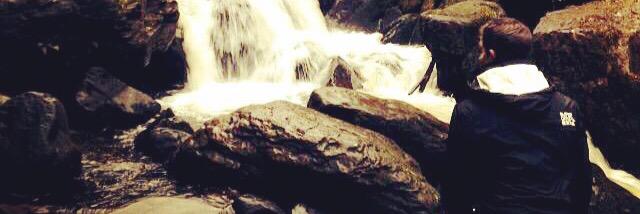 Cully_Mac's profile banner image
