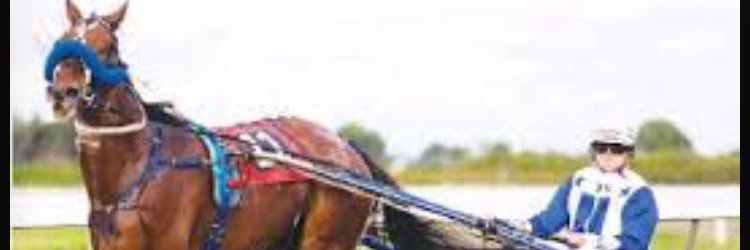 arnz1's profile banner image