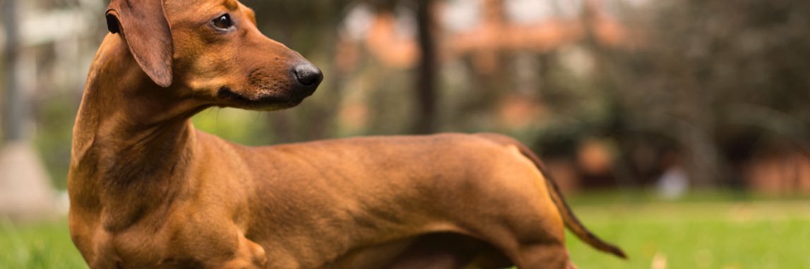 MSussmannM's profile banner image