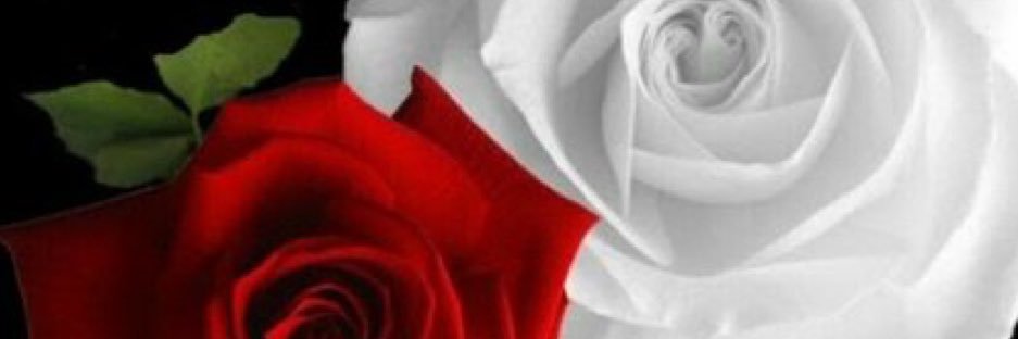 cams_bars's profile banner image