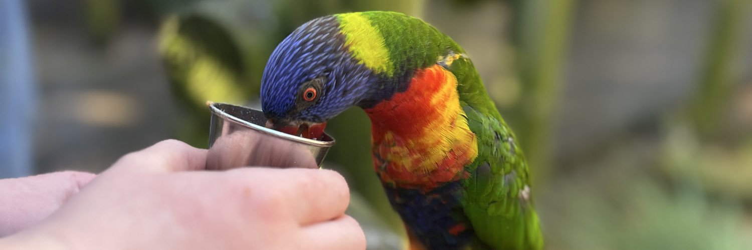 Stephanie🐾 banner