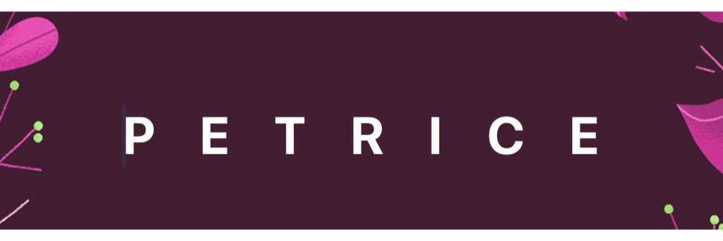 PetriceTPrice's profile banner image
