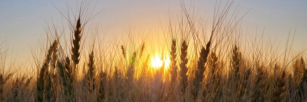 J_Crowd Profile Banner