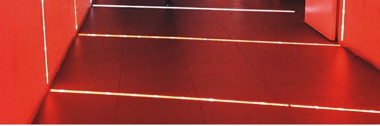 BigRobTheChamp banner
