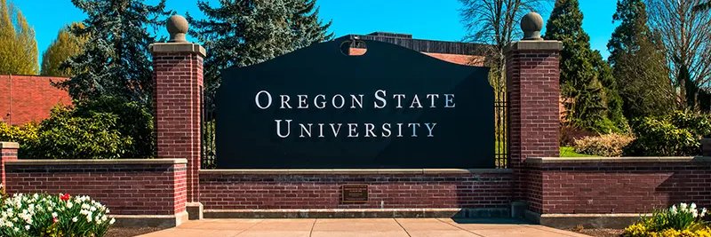 behes2's profile banner image