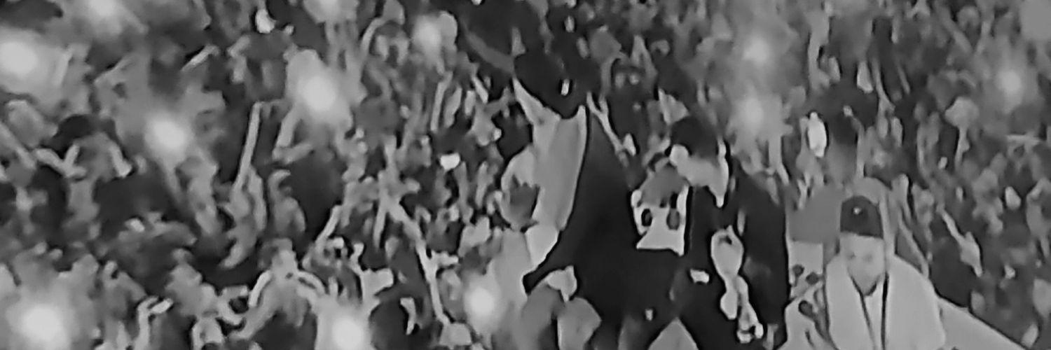 Rosana Cirigliano banner