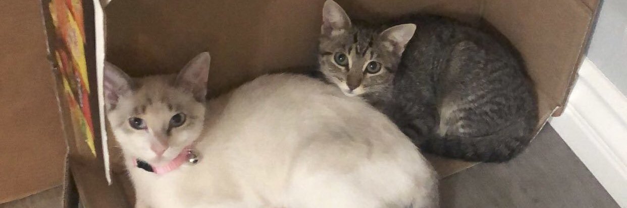 MelyyBetchh's profile banner image